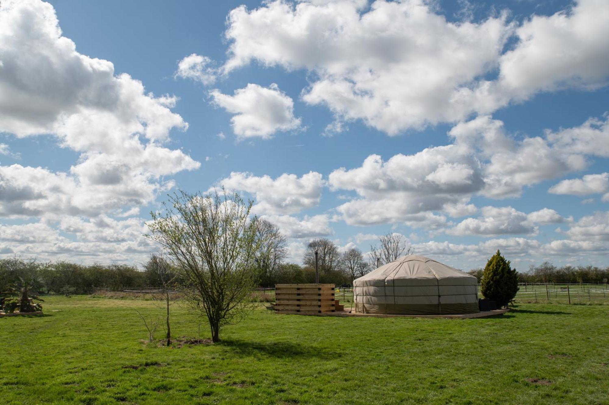 Yurts * Lincoln
